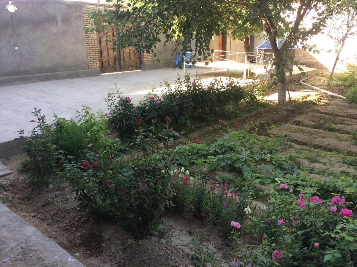 Salom Hostel Panjakent Екстериор снимка